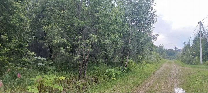 Участок 42 сот. (СНТ, ДНП)