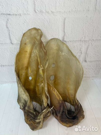 Вкусняшки для собак