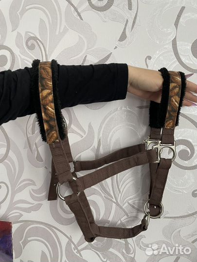 Недоуздок для лошади