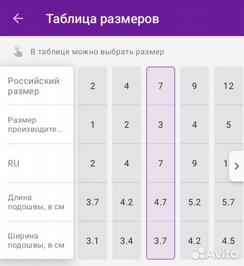 Сапожки для собак