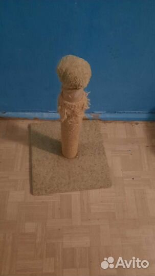 Когтеточка для кота