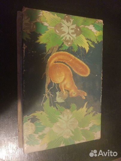 Коробка от конфет Белочка СССР, 1962 год