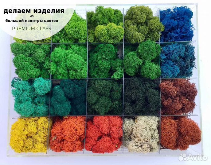 Картина из мха микс оранжевый 30x30 см