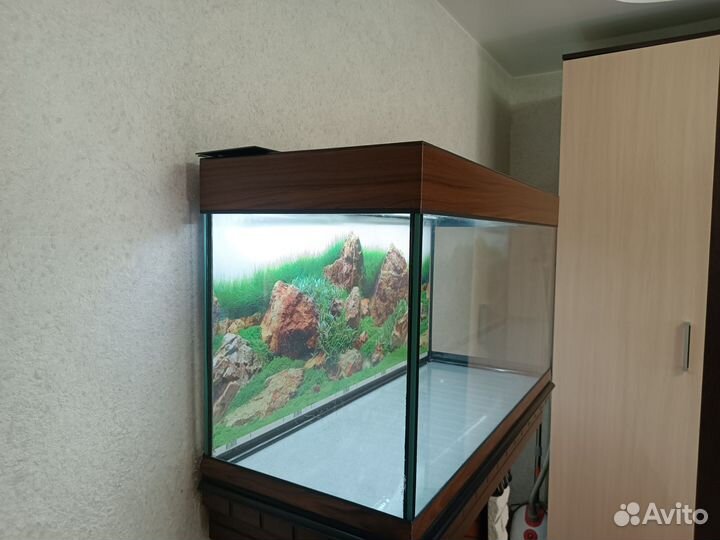 Аквариум