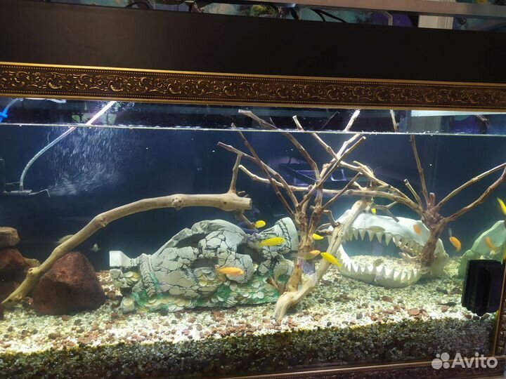 Декорации для аквариума