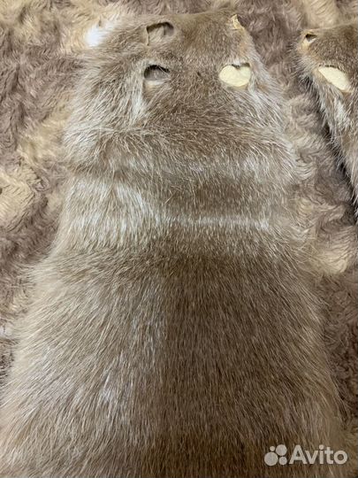 Шкурки нутрии