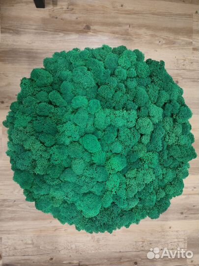 Светящееся панно из стабилизированного мха 3D