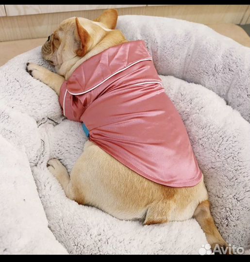 Одежда для маленьких собак