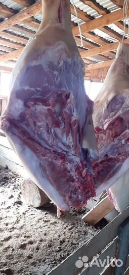 Мясо свинина домашняя частями