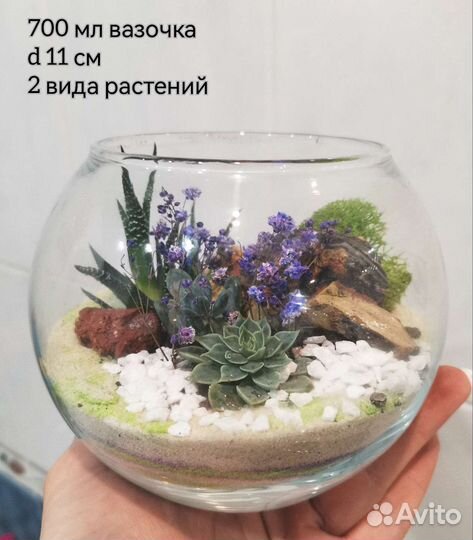 Флорариум мини