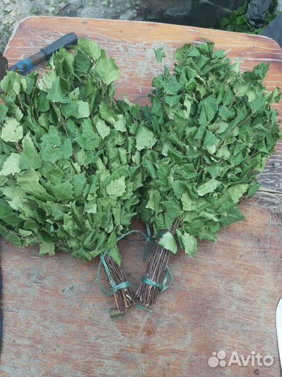 Веники для бани