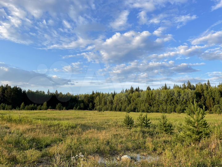 Участок 15 сот. (ИЖС)