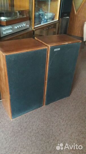 Акустические системы