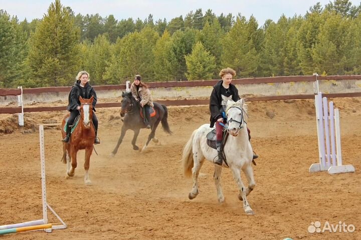 Аренда глемпинга и зоны пикника