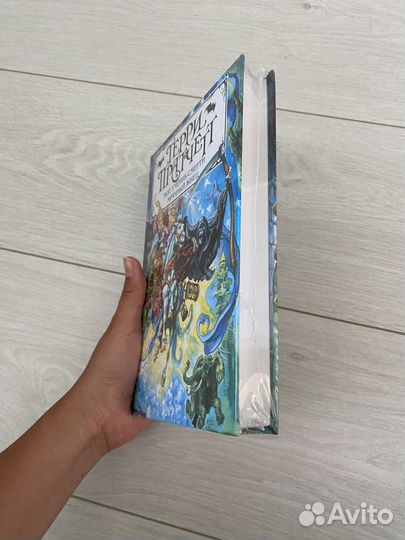 Книга Терри Праттчета