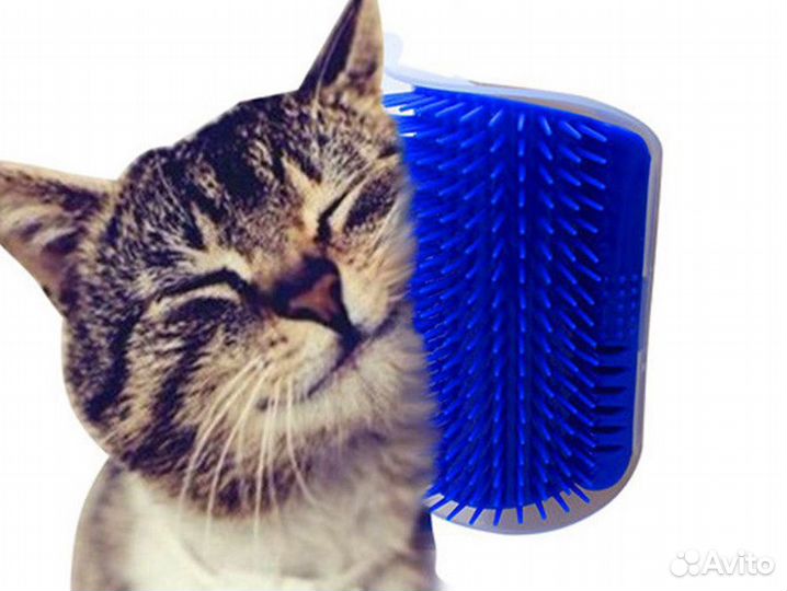 Ошейники и игрушки для кошек