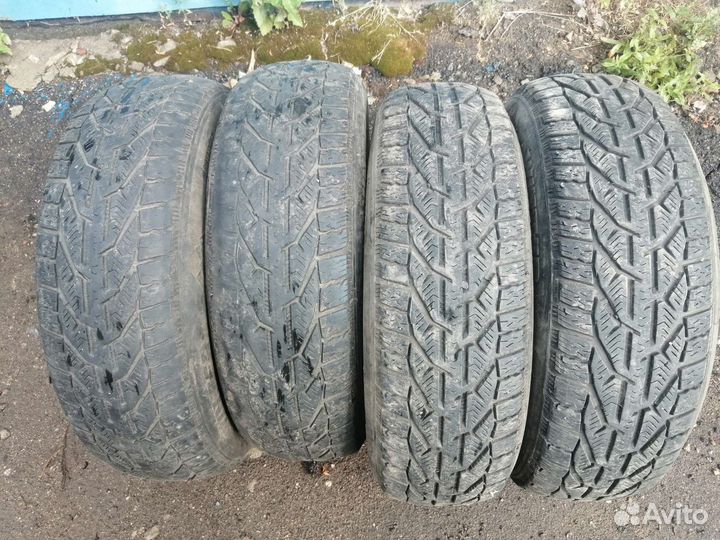 Tigar Winter 185/65 R15