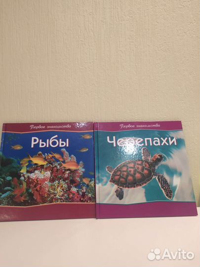 Энциклопедия