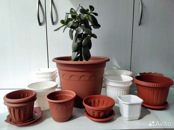 Кашпо для цветов