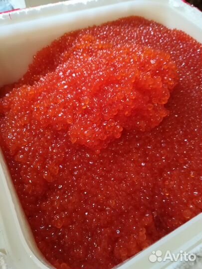 Икра красная Кижуч 2023