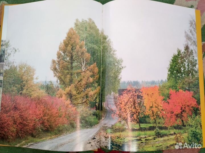 Книга альбом Липецкая область золотой юбилей