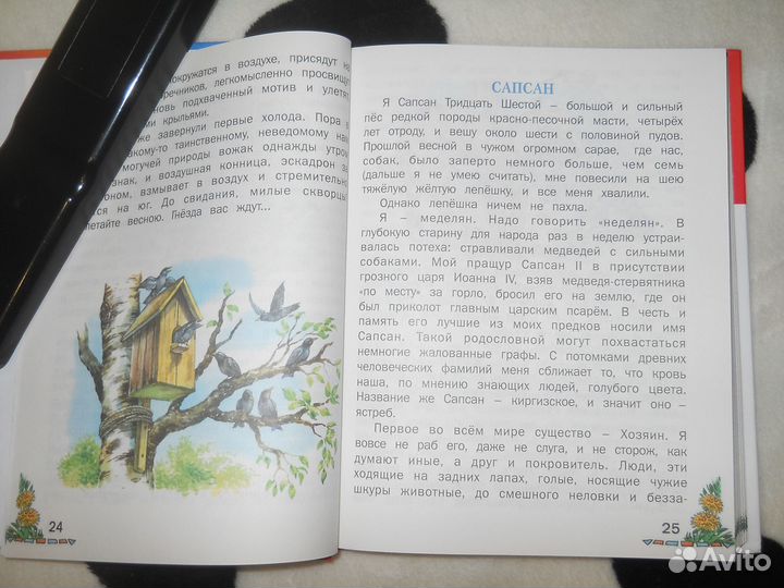 Домашнее чтение (Новая книга)