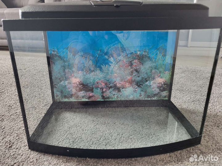 Аквариум