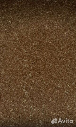 Овес(продуктовый), горох, пшеница, ячьмень, гречка