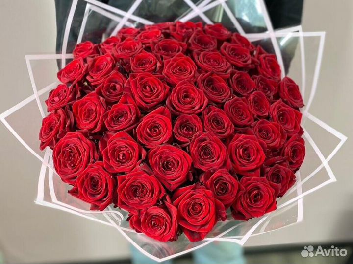 Розы Цветы Букеты 25 51 101