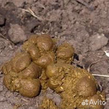 Чернозем. Навоз. Опилки. Торф