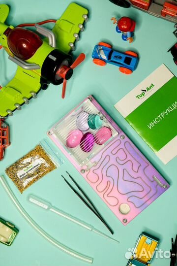 Ферма с муравьями / Формикарий