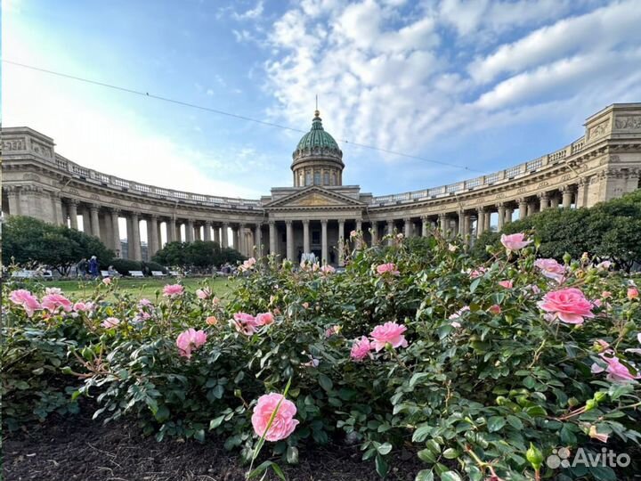 Тур по Санкт-Петербургу для школьных групп