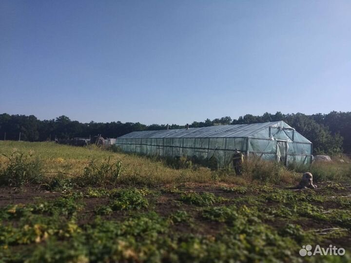 Теплица металлическая