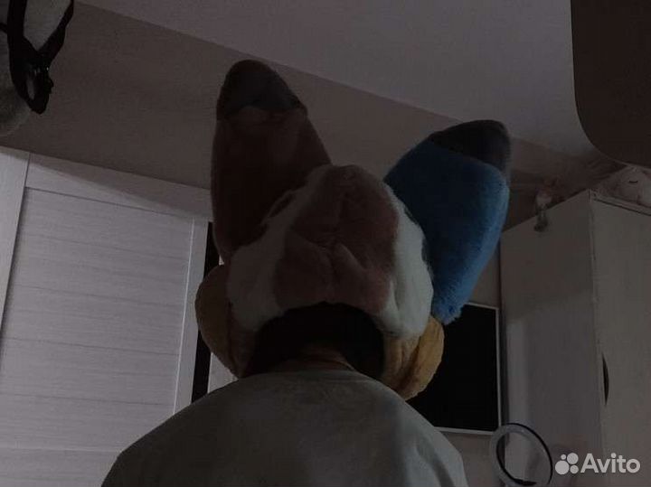 Фурсьют основа/фурри/фурсьют