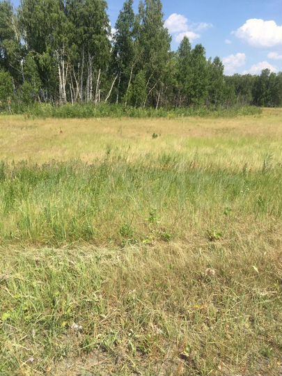 Участок 5 га (СНТ, ДНП)