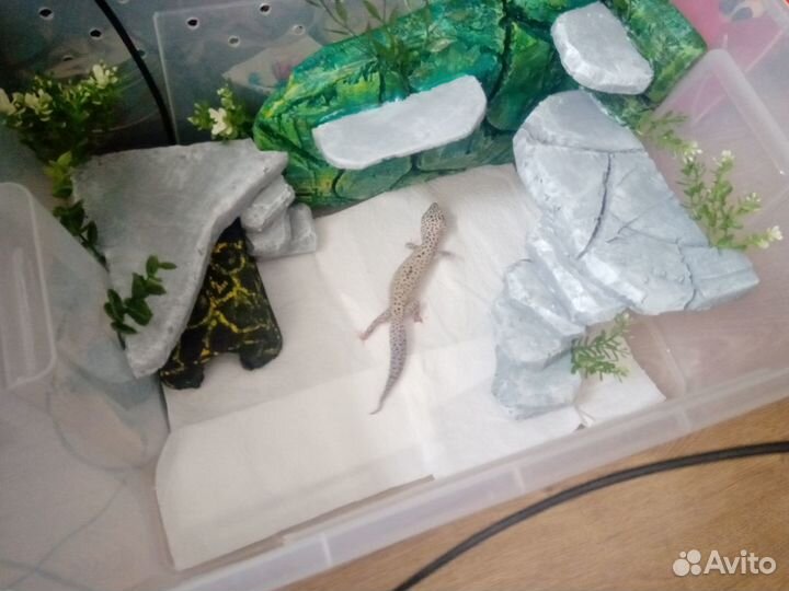 Декорации для террариума