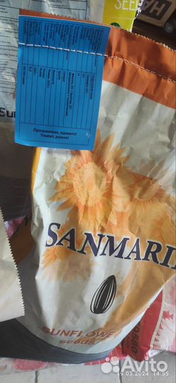 Семена подсолнечник Сингента