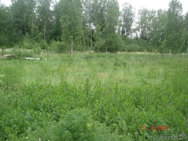 Участок 20 сот. (ИЖС)