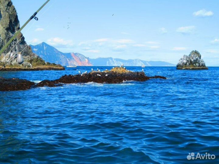 Морская прогулка к острову Старичков