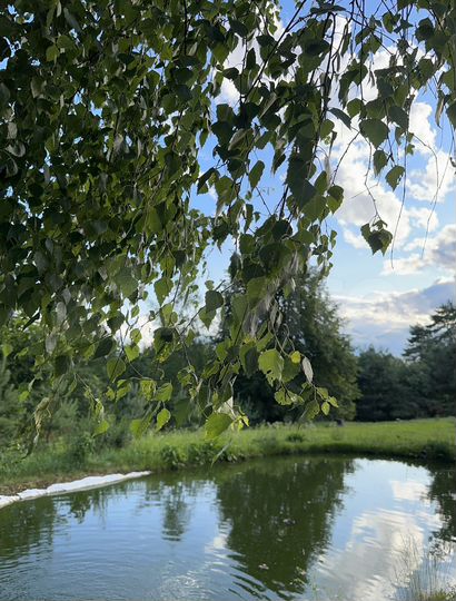 Дом 170 м² на участке 15 сот.