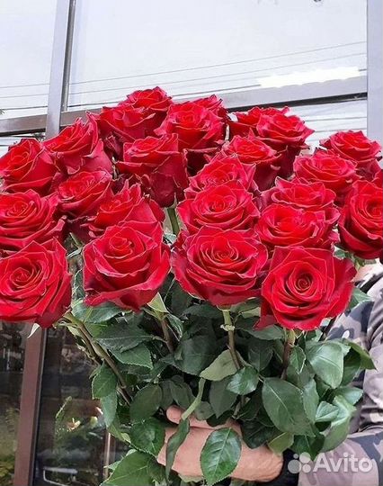 Длинные высокие розы 110 150 160 180 200 см