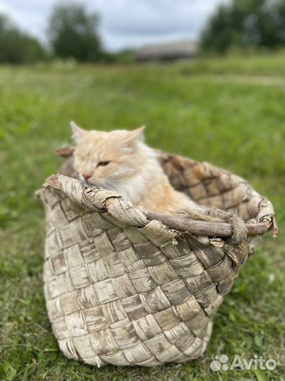 Плетёная корзинка из березы пестерь кузовок