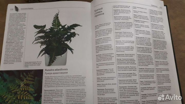 Книга 500 видов домашних растений