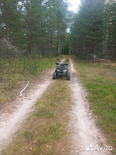 Детский квадроцикл 125 см куб Avantis