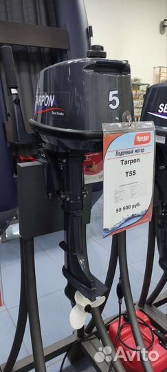 Лодочный мотор Тарпон Tarpon Sea Pro 5 S