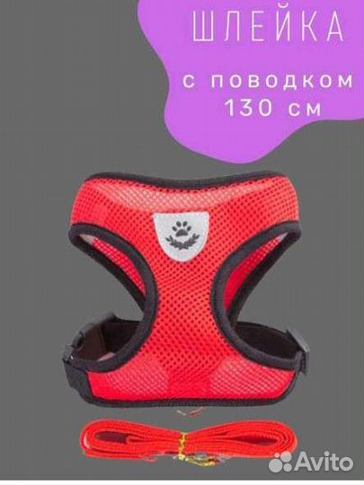 Шлейка для собак и кошек с поводком для прогулки