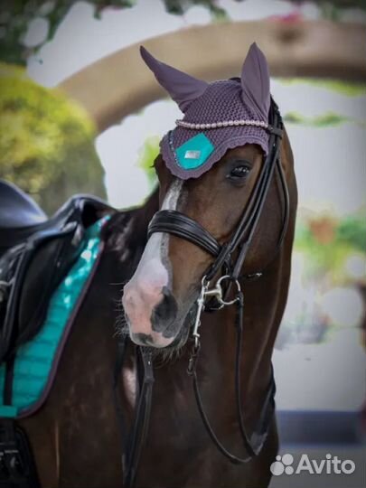 Комплект вальтрап и уши Equito