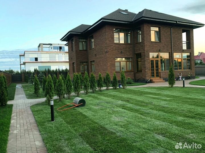 Рулонный газон