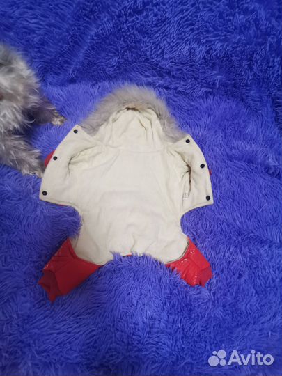 Куртка зимняя для собачки