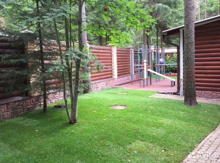 Рулонный газон